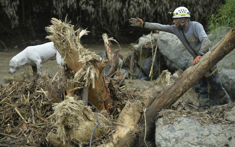 Nhân viên cứu hộ và chó nghiệp vụ đang tìm kiếm nạn nhân