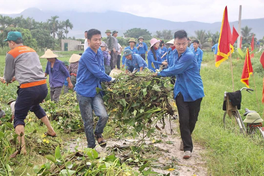 Gần 300 đoàn viên, thanh niên đồng loạt ra quân 'triệt hạ' bèo tây