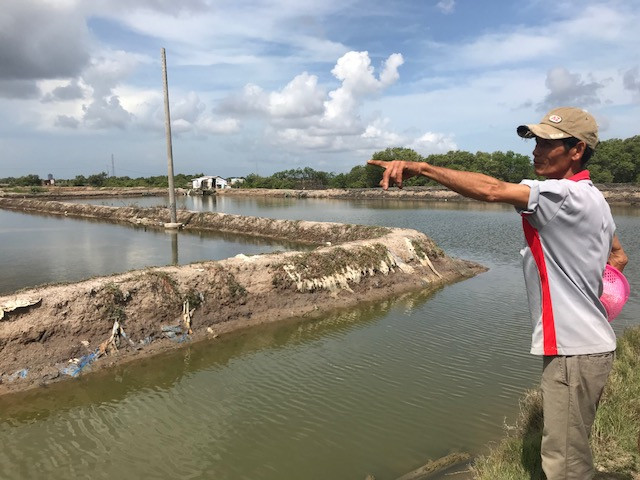 Dừng phân lô bán nền dự án 'vẽ' trên đất ruộng muối