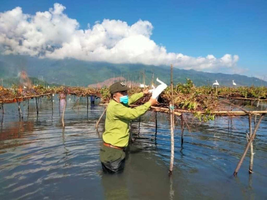 Cán bộ kiểm lâm tại TT-Huế tổ chức thu gom và tiêu hủy các dụng cụ dùng bẫy bắt các loài chim hoang dã