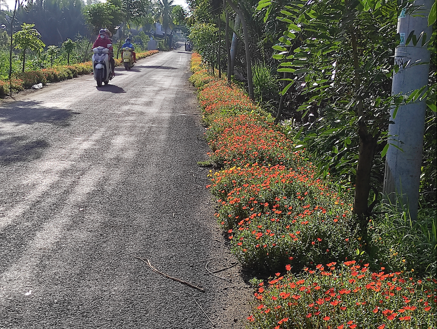 Những con đường rác được tô điểm sắc hoa ở Sài Gòn
