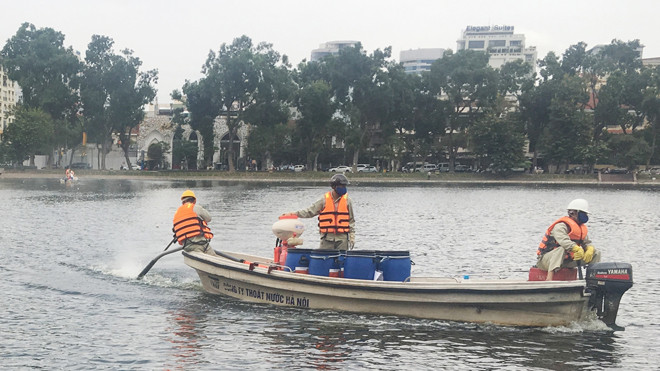 Hơn 80 hồ Hà Nội đã được xử lý ô nhiễm bằng chế phẩm Redoxy - 3D. Ảnh: T.Đảng