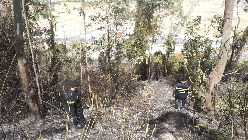 Một vụ cháy rừng diễn ra giữa trưa khiến 2ha diện tích rừng bị thiêu rụi