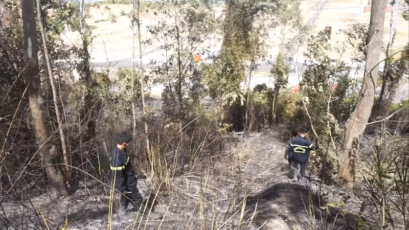 Một vụ cháy rừng diễn ra giữa trưa khiến 2ha diện tích rừng bị thiêu rụi