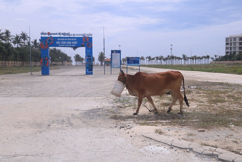 Lối xuống biển Sơn Thủy tại quận Ngũ Hành Sơn đã được mở. Ảnh : Nguyễn Thành