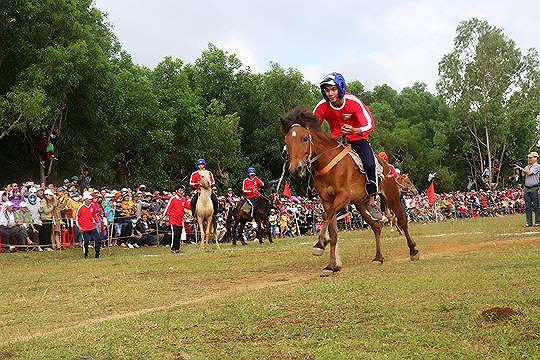 Đua ngựa tại Phú Yên. Ảnh: Văn Tài