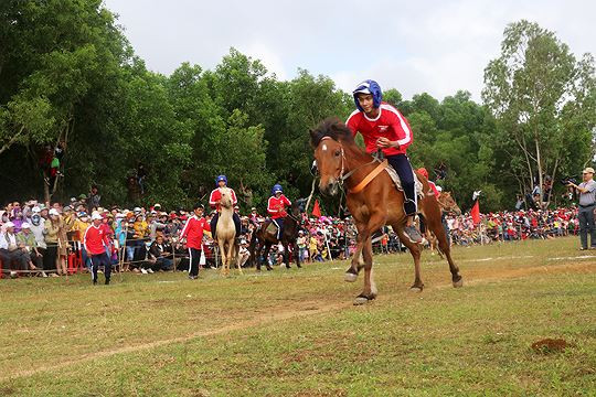 Đua ngựa tại Tuy An, Phú Yên. Ảnh: Văn Tài