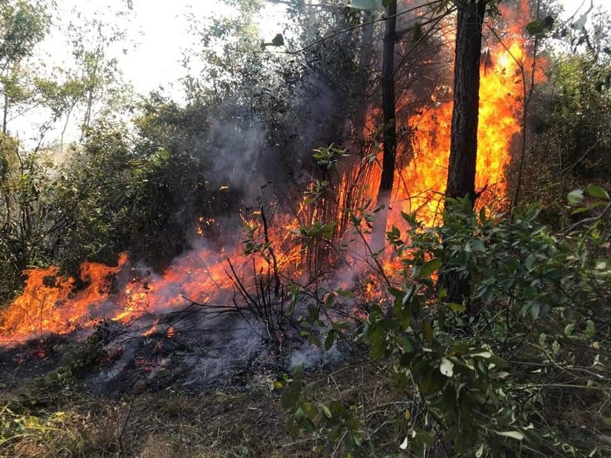 Nắng nóng khiến ngọn lửa lan nhanh và khó khống chế.