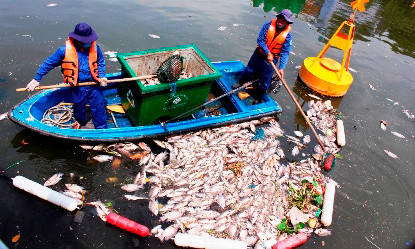 Lao động vớt cá trên kênh Nhiêu Lộc- Thị Nghè.