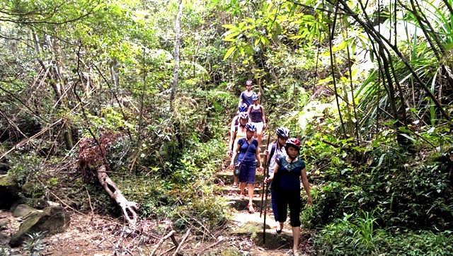 Vườn Quốc gia Bạch Mã là khu vực có hệ động thực vật da dạng, nhiều loài quý hiếm cần được bảo vệ nghiêm ngặt.