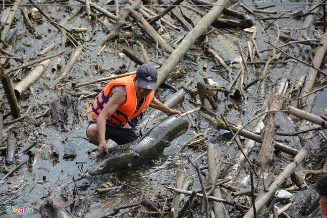 Từ đầu tháng 9, hồ Thủy điện Bản Vẽ (huyện Tương Dương, Nghệ An) đón trận lũ lịch sử được đánh giá là lịch sử, 50 năm có một lần. Lượng nước về hồ có lúc đạt tới 5.000 m3/s, kéo theo lượng lớn gỗ, rác từ thượng nguồn.