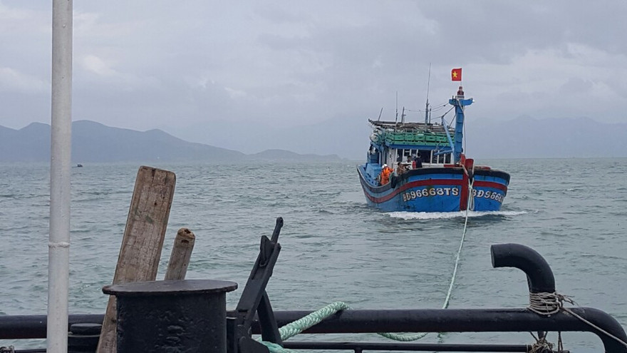  Ảnh và clip cứu hộ tàu gặp nạn 