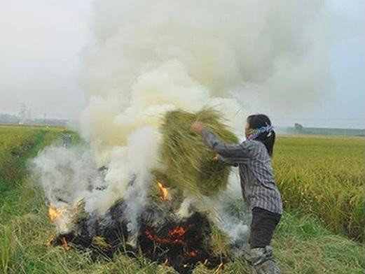 Đốt rơm rạ ở ngoại ô khiến nội thành Hà Nội mù mịt những ngày qua