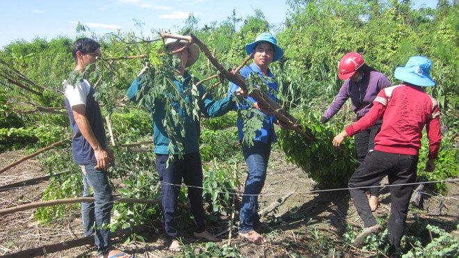  Mưa lớn kéo theo lốc xoáy gây thiệt hại nặng nề cho người dân. 