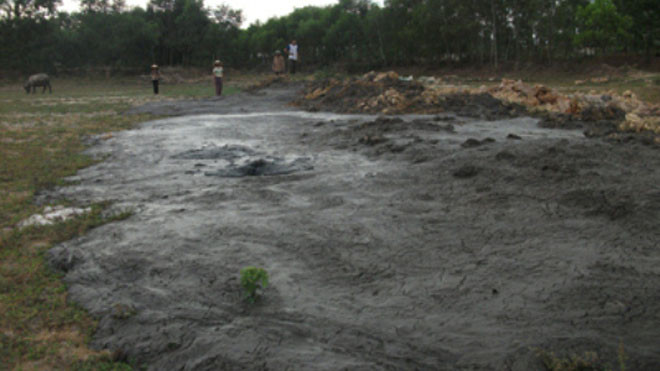 Công ty CP thức ăn chăn nuôi Thái Dương xả thải không qua xử lý ra môi trường.