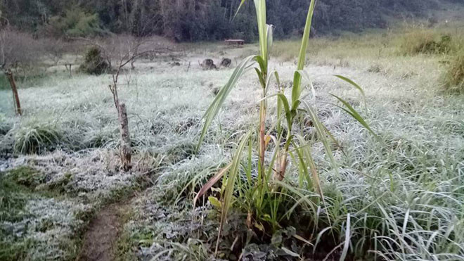 Băng giá xuất hiện tại miền núi Nghệ An, có nơi nhiệt độ xuống 0 độ C