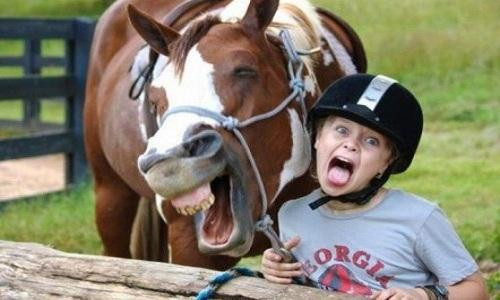 1001 thắc mắc: Loài vật nào có khuôn mặt biểu cảm nhất hành tinh?