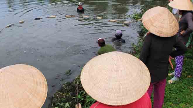 Mặn mà cá bổi U Minh