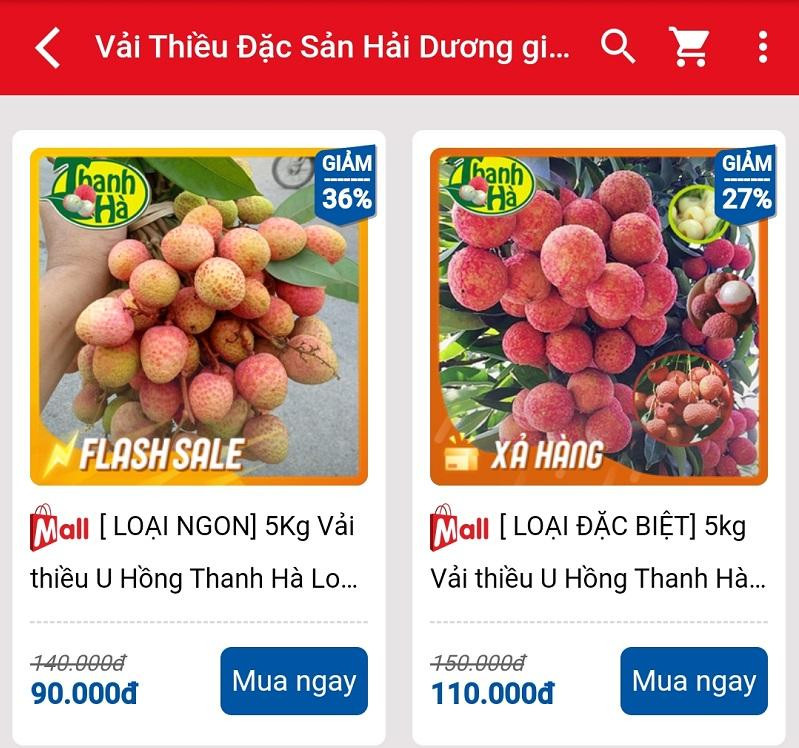 Lô vải thiều Hải Dương xuất khẩu đầu tiên chính thức cập bến Nhật Bản