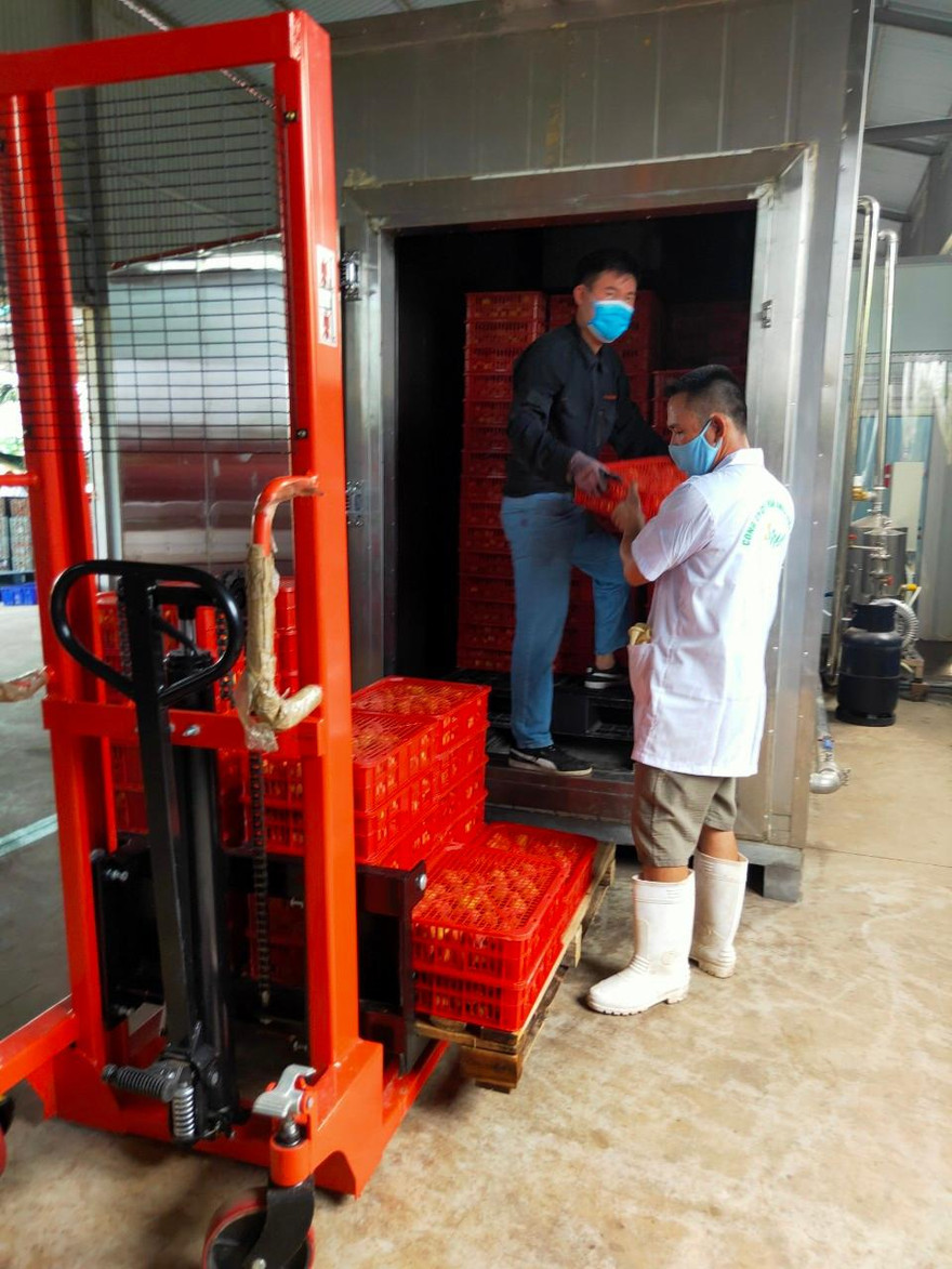 Nhật Bản cấp phép thêm 2 cơ sở khử khuẩn vải thiều tại Hải Dương