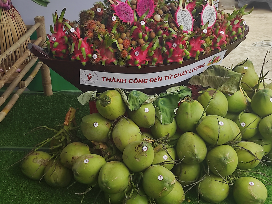 Cận cảnh lô trái cây đầu tiên được xuất khẩu vào thị trường EU