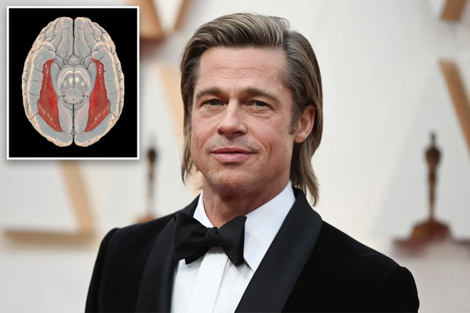 Showbiz 7/7: Nguy hiểm từ hội chứng mù mặt của Brad Pitt