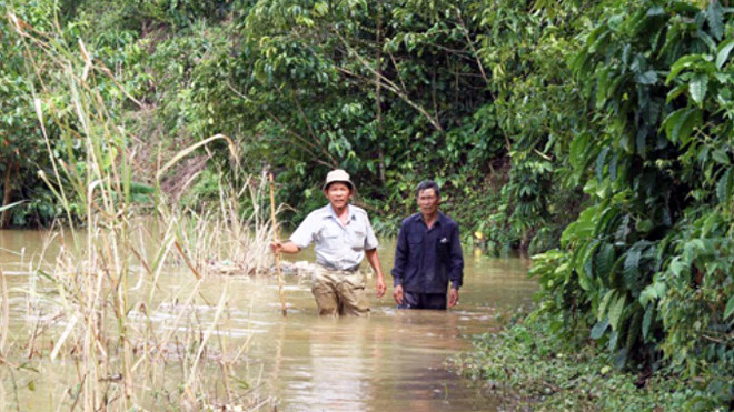  Đường dân sinh bị ngập sâu
