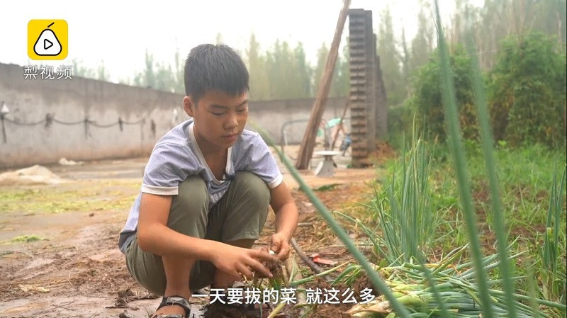 Cậu bé dành cả tuổi thơ bán hành, hiến tủy cứu em trai mắc bệnh thiếu máu