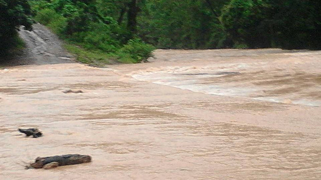 Học sinh bị lũ cuốn mất tích trên đường về nhà
