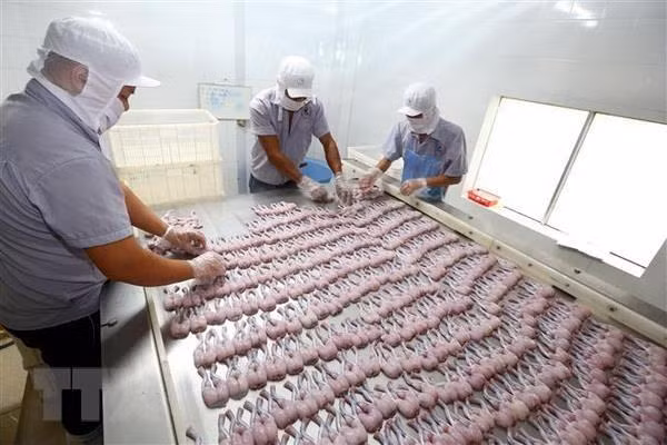 Phát hiện nhiều lô hàng nông, thủy sản Việt Nam vi phạm chất cấm của EU