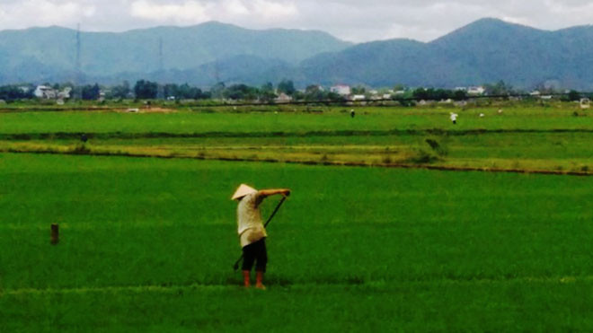Làm đồng, một phụ nữ bị sét đánh tử vong