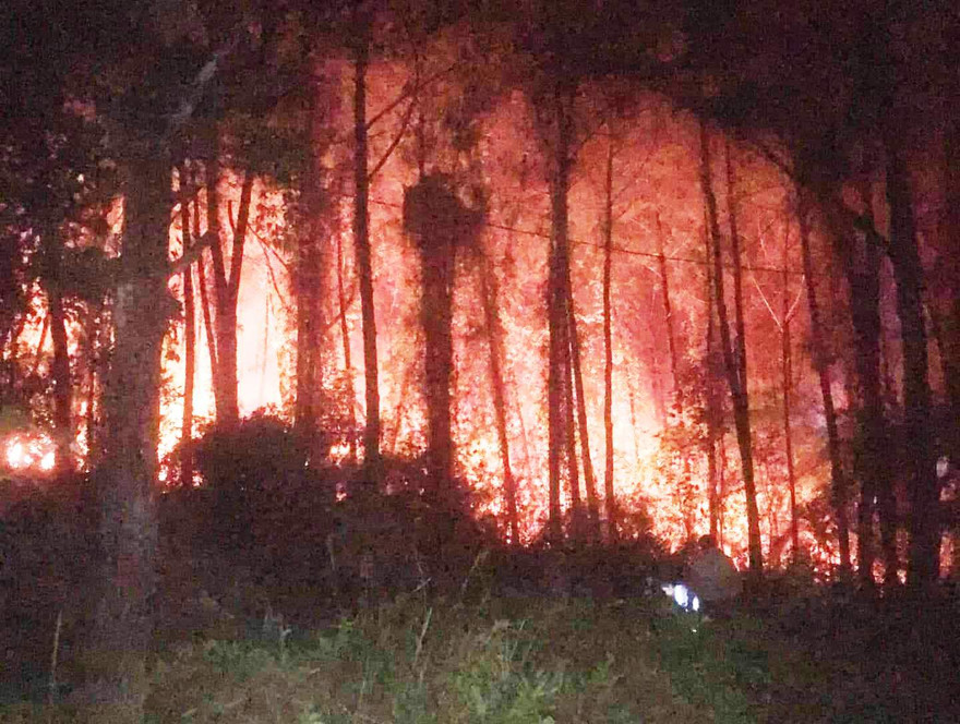 Rừng thông hàng chục năm tuổi bốc cháy dữ dội cạnh lăng vua Khải Định