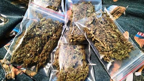 Phát hiện 1kg chất gây nghiện chuyển qua đường bưu phẩm