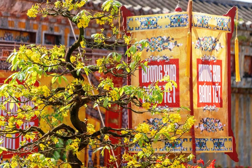 "Hương xưa bánh Tết" chứa dựng nhiều điều thú vị của Tết xưa trong Cung đình Huế. (Ảnh: TTBTDTCĐ Huế)