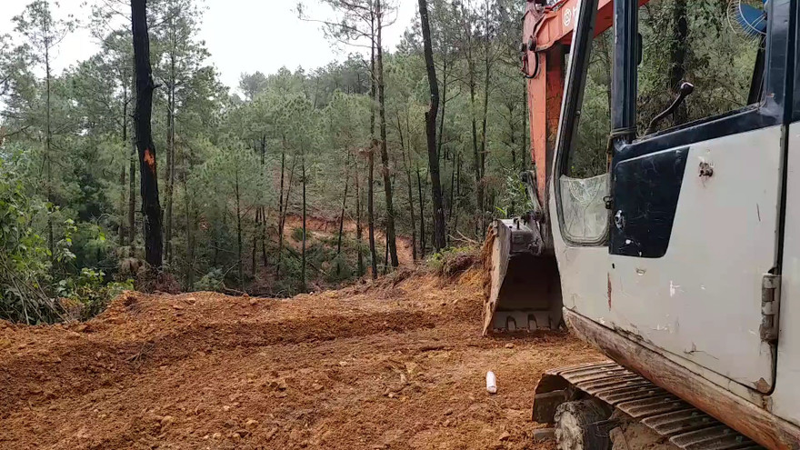 Xe cộ án binh bất động, hoạt động khai thác rừng GPMB làm cao tốc do Cty Lâm nghiệp Tiền Phong tổ chức đấu giá theo phân công của UBND tỉnh TT-Huế bị ngưng trệ.