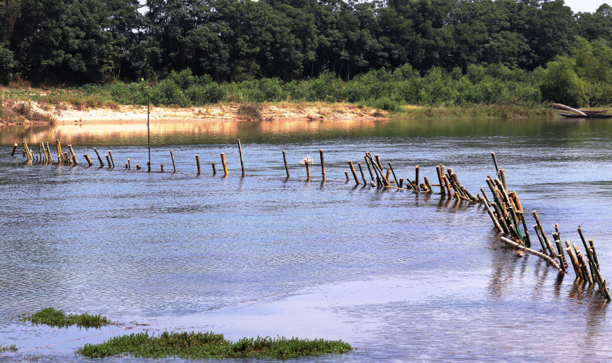 Người dân bỏ bê công việc đồng áng chính vụ gặt hái để cùng nhau góp tiền mua cọc tre, đá hộc, tham gia ngày công để rào chặn kín một đoạn sông Bồ nhằm ngăn cát tặc và phản đối doanh nghiệp khai thác cát