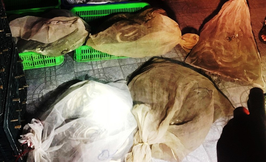 Nhiều hành khách khiếp vía sau khi biết đã "cưỡi" trên hàng nghìn con rắn khi đi xe giường nằm qua nhiều tỉnh thành