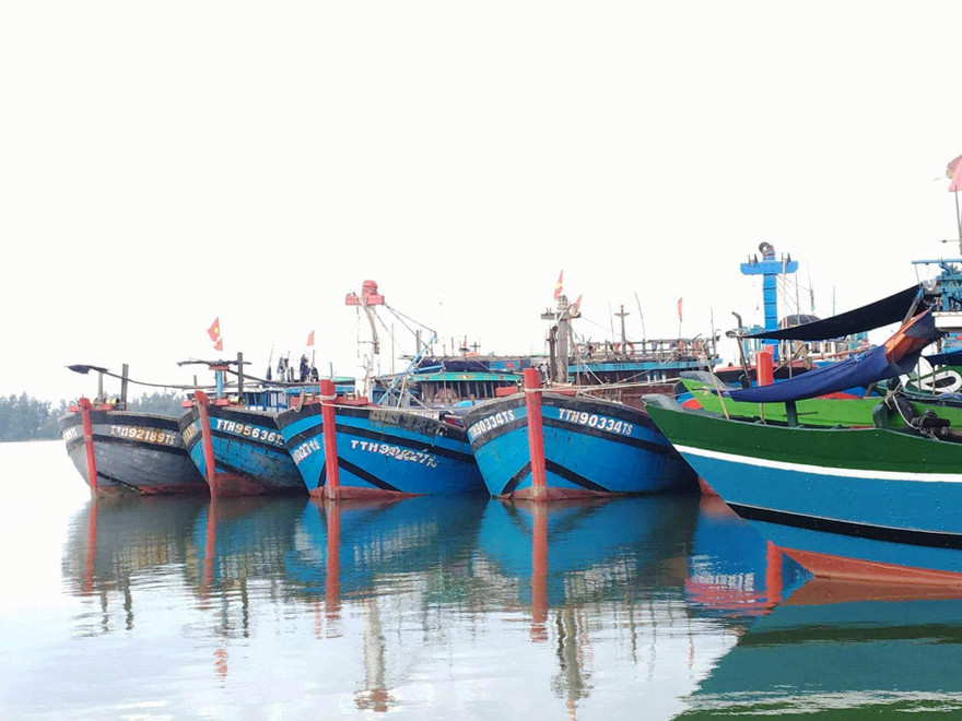 Tàu thuyền đánh cá tại thị trấn Thuận An, Phú Vang, TT-Huế, vào bờ trú gió bão chiều 3/6