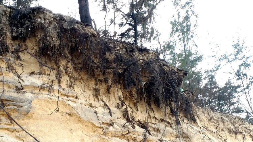 Nạn xâm thực bờ biển diễn ra dữ dội và nguy hiểm tại xã Phú Thuận, huyện Phú Vang, tỉnh TT-Huế