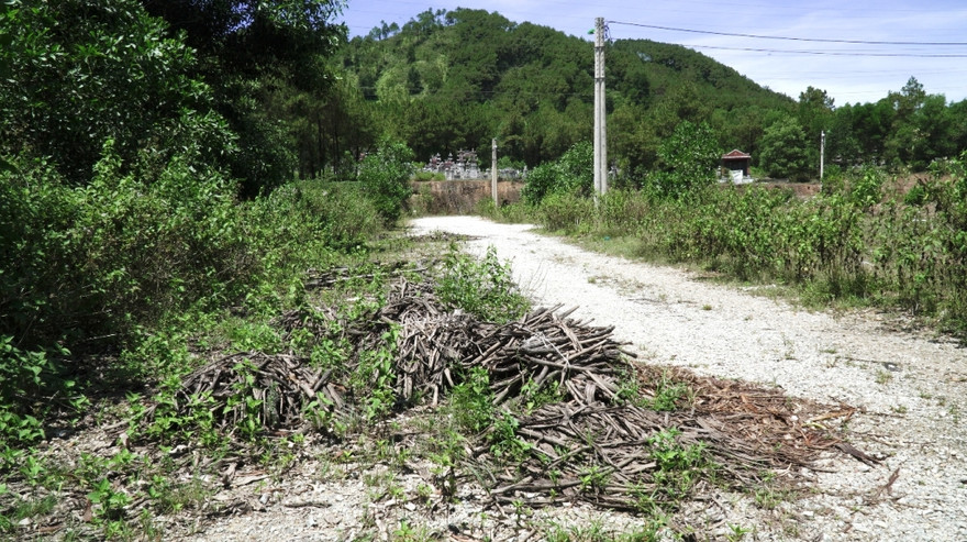 Dự án khu quy hoạch tập trung kinh doanh phế liệu phường Thủy Châu hiện bỏ hoang lãng phí sau khi hoành thành xây dựng do vướng Luật đất đai khi đấu giá thuê đất. Tỉnh TT-Huế sẽ xin ý kiến Bộ TNMT để có hướng xử lý dứt điểm.