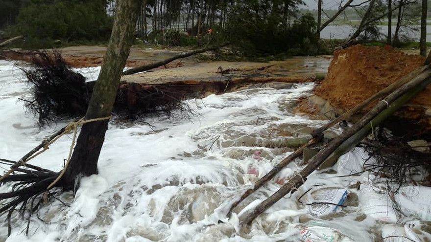 Mức độ sạt lở bờ biển tại xã Vinh Hải ngày càng trở nên nghiêm trọng vào thời điểm cuối năm, nơi đây nguy cơ bị nước biển xé toang cả dải rừng phòng hộ, nước mặn tràn vào ruộng đồng
