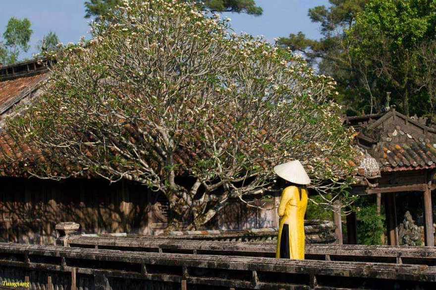 Phụ nữ trong nước và nước ngoài khi tham quan di tích Huế được miễn phí vé vào cổng nếu mặc trang phục áo dài truyền thống (ảnh minh họa)