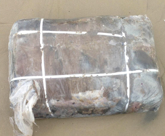 Bí ẩn 5 tạ thịt thối dạt vào bờ biển Thừa Thiên Huế