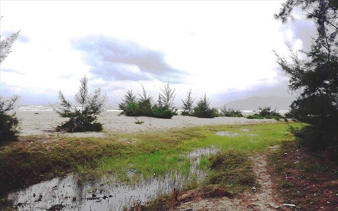 Khu đất 'vàng' ven biển Cảnh Dương được cấp "nhầm" cho cán bộ huyện Phú Lộc