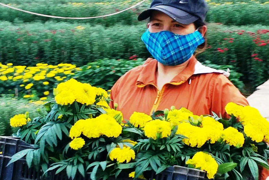 Người dân Huế có một năm bội thu hoa