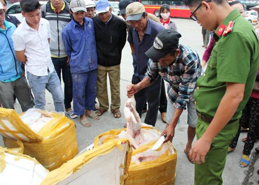 Kiểm tra, tạm giữ gần nửa tấn thịt heo sữa không rõ nguồn gốc, bốc mùi hôi khi vận chuyển qua địa bàn TT-Huế