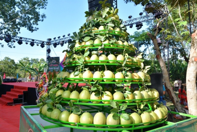 Quả "tiến vua" bưởi thanh trà đặc trưng xứ Huế