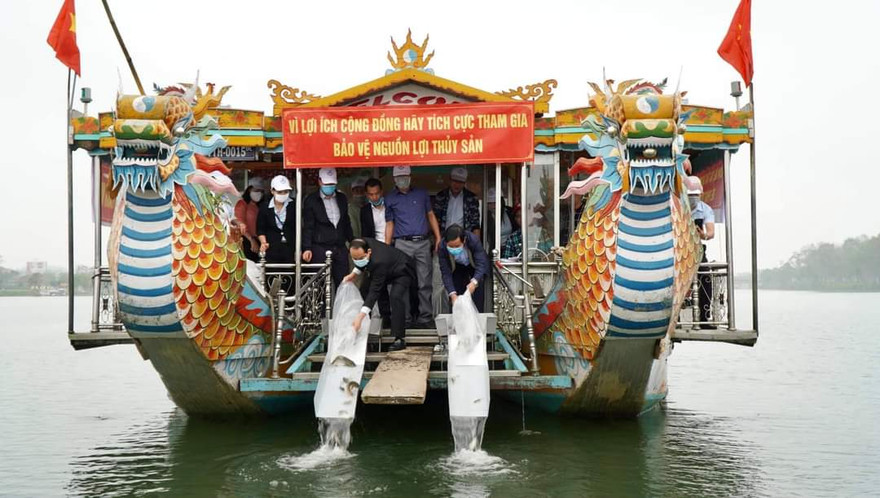 Thả hơn 4,1 vạn con cá xuống sông Hương tái tạo nguồn lợi thủy sản.