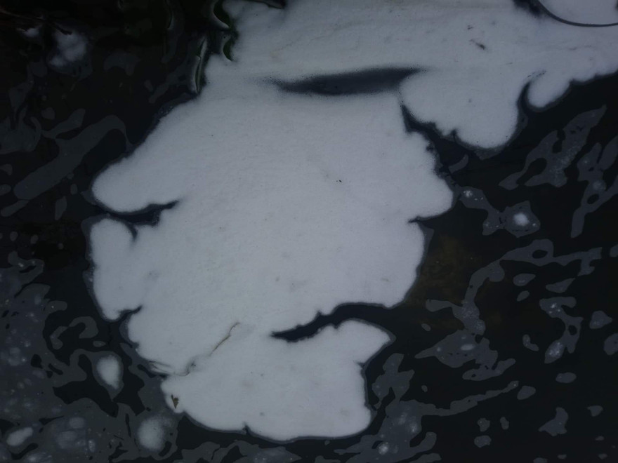 Bọt trắng bẩn thỉu trên sông An Cựu