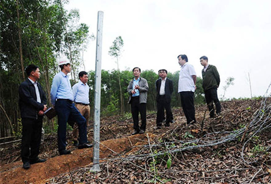 Phó Chủ tịch UBND tỉnh Thừa Thiên Huế Nguyễn Văn Phương (đứng giữa) kiểm tra tình hiện trạng hành lang bảo vệ đường cao tốc La Sơn - Túy Loan, sau khi nhận phản ánh từ báo Tiền Phong. (ảnh thuathienhue.gov.vn)